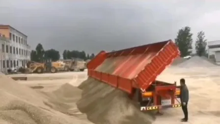 사이드/엔드 티퍼/덤프/티퍼 트랙터/말/트럭 세미 트레일러(타이어 13개 및 상자 포함)